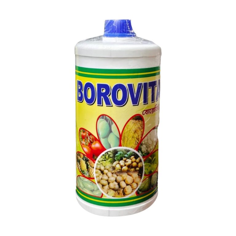 Borovita